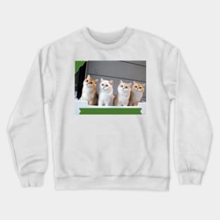 The chubby cats gangs Crewneck Sweatshirt